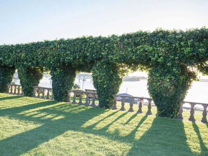 Robbins Park – Tauranga Rose Garden
